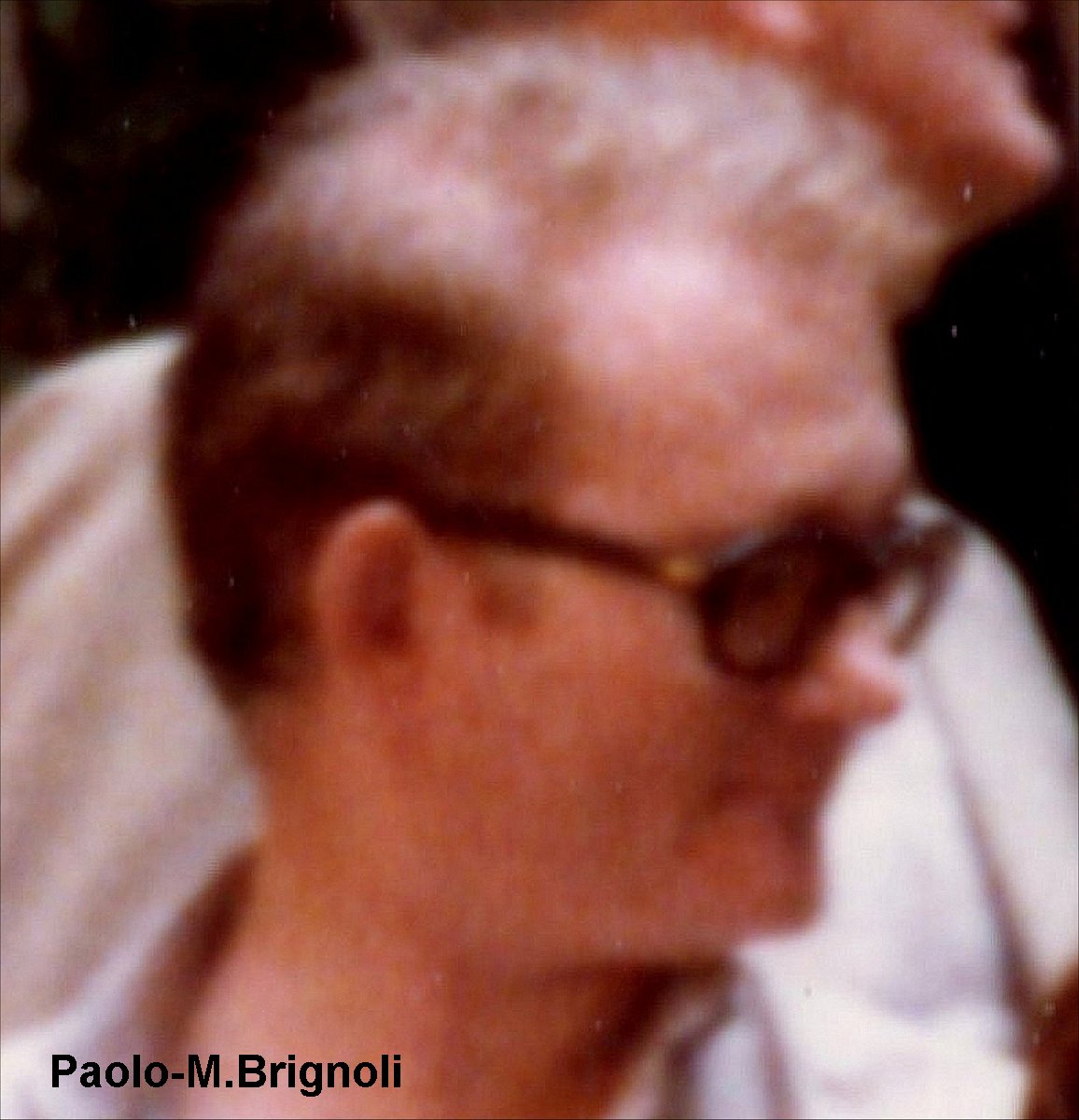 Brignoli