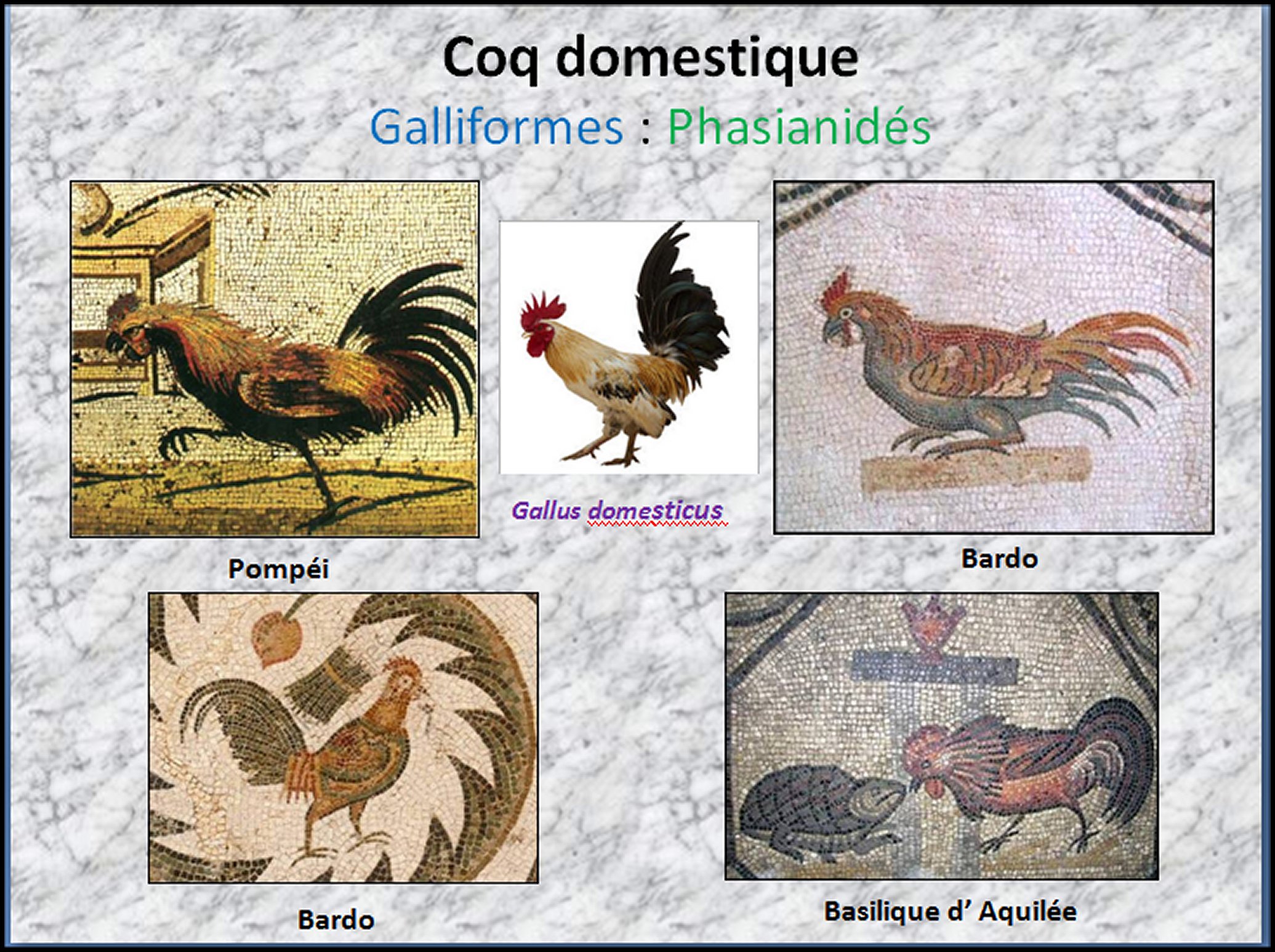 Mosa&iuml;que I - 39