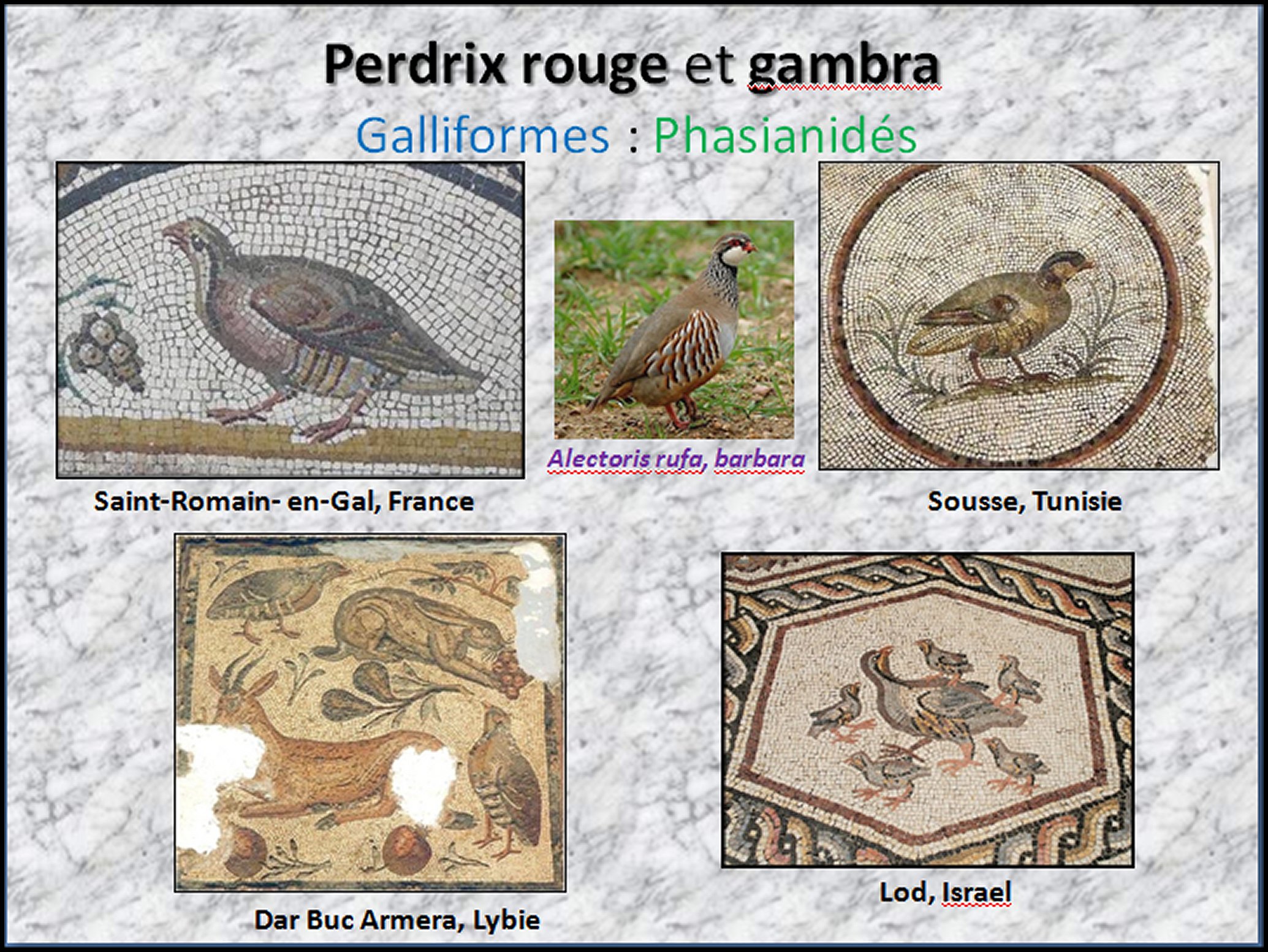 Mosa&iuml;que I - 40