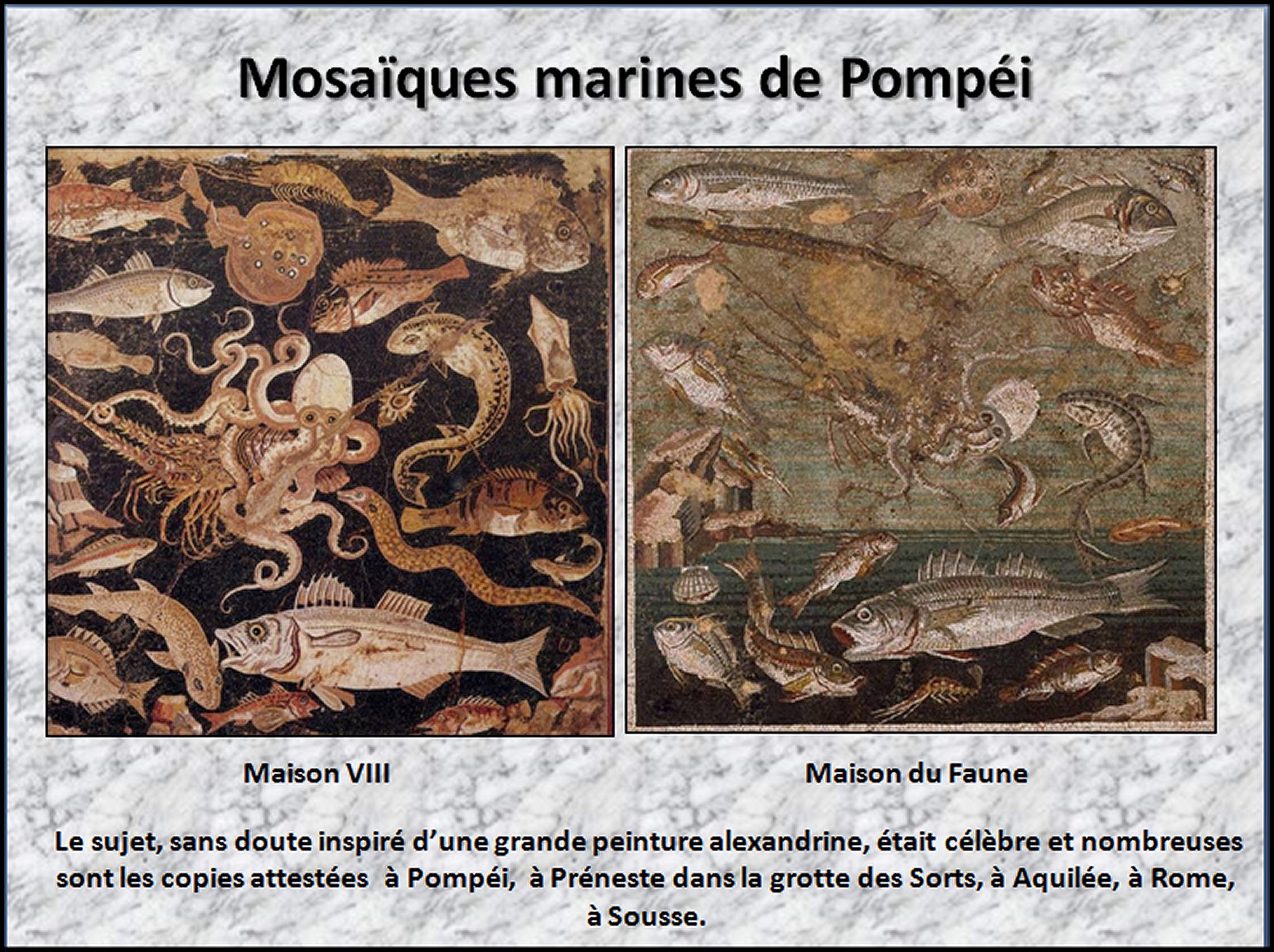 Mosa&iuml;que I - 16