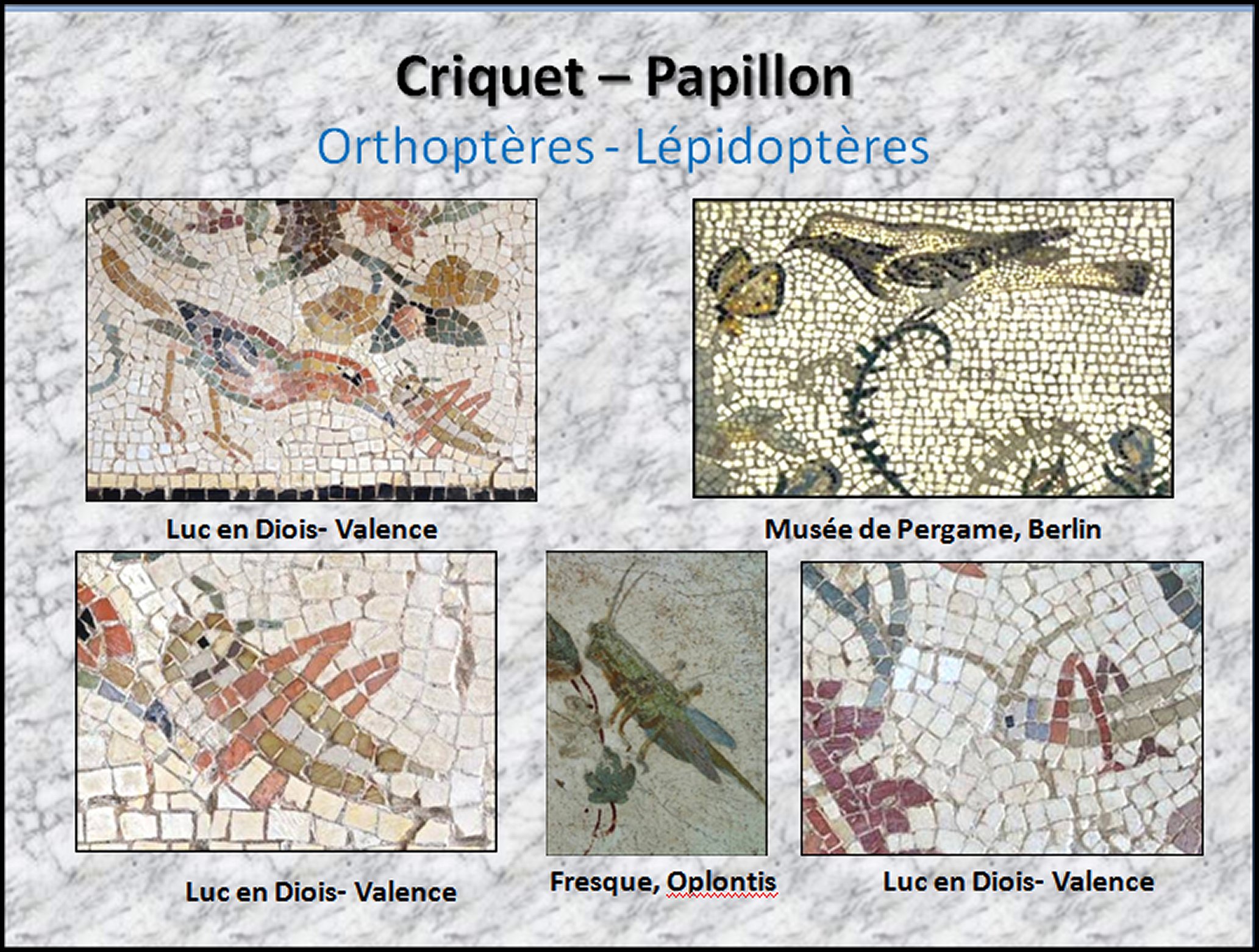 Mosa&iuml;que I - 26