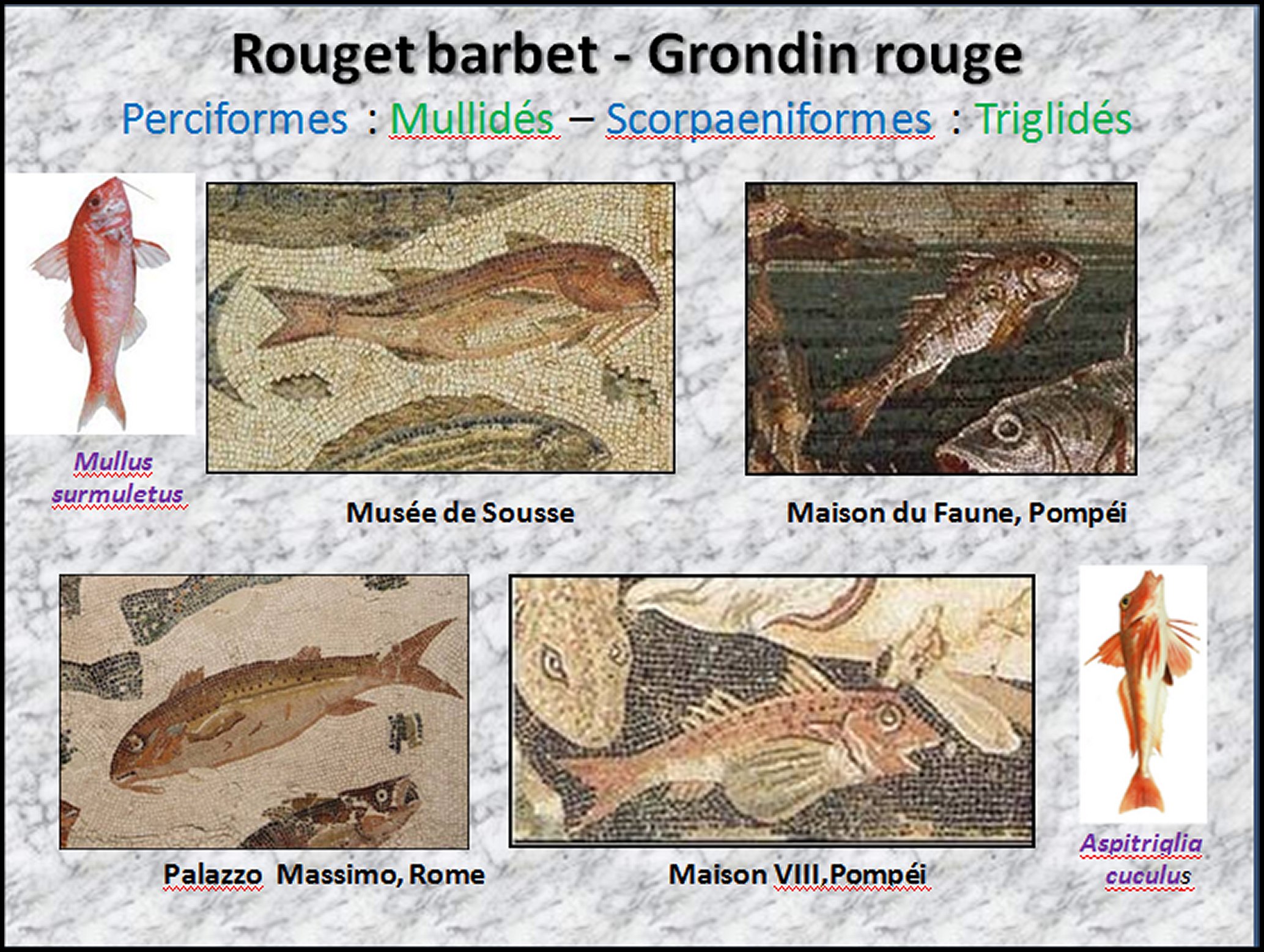 Mosa&iuml;que  I - 31