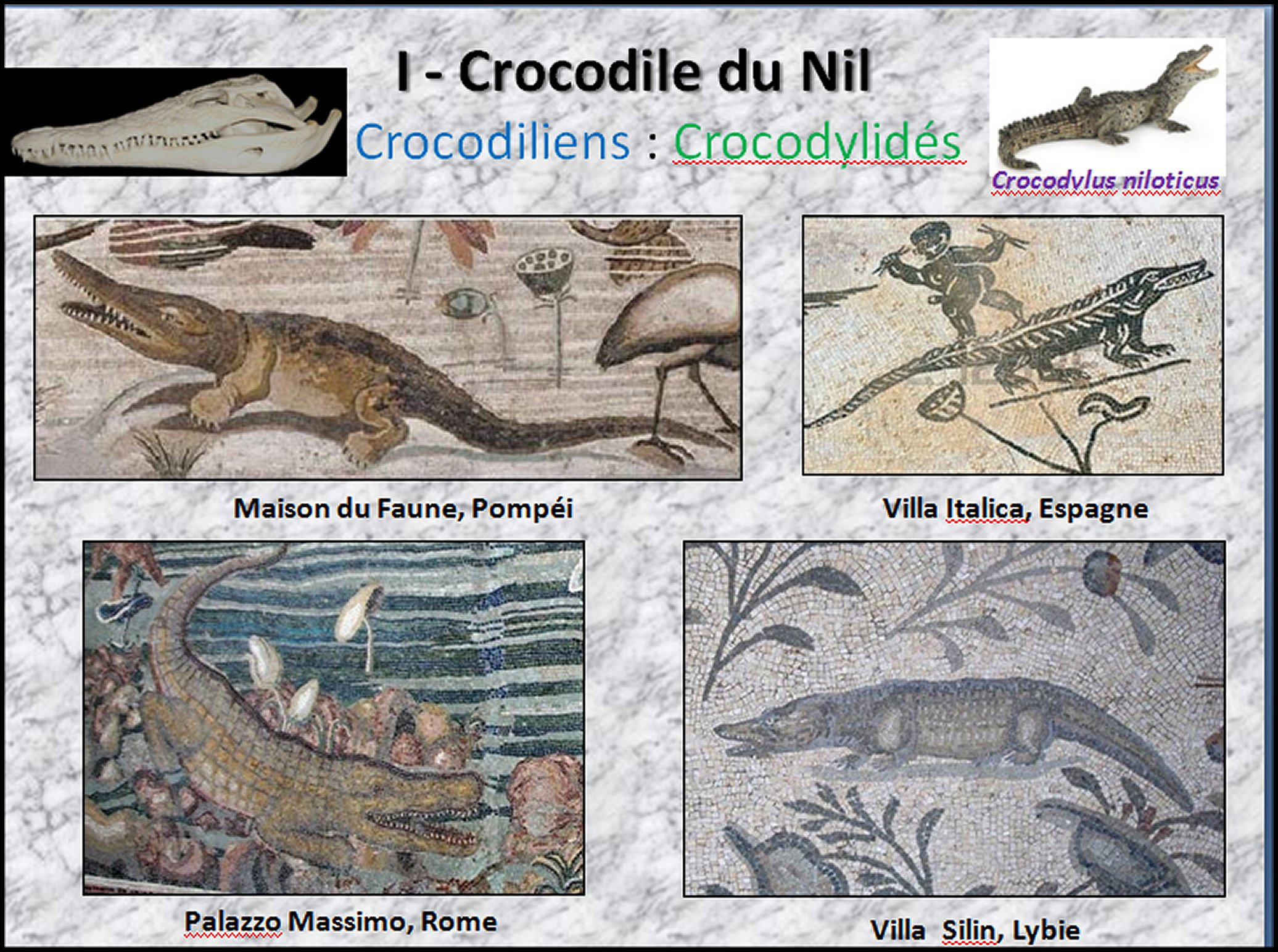Mosa&iuml;que I  - 37