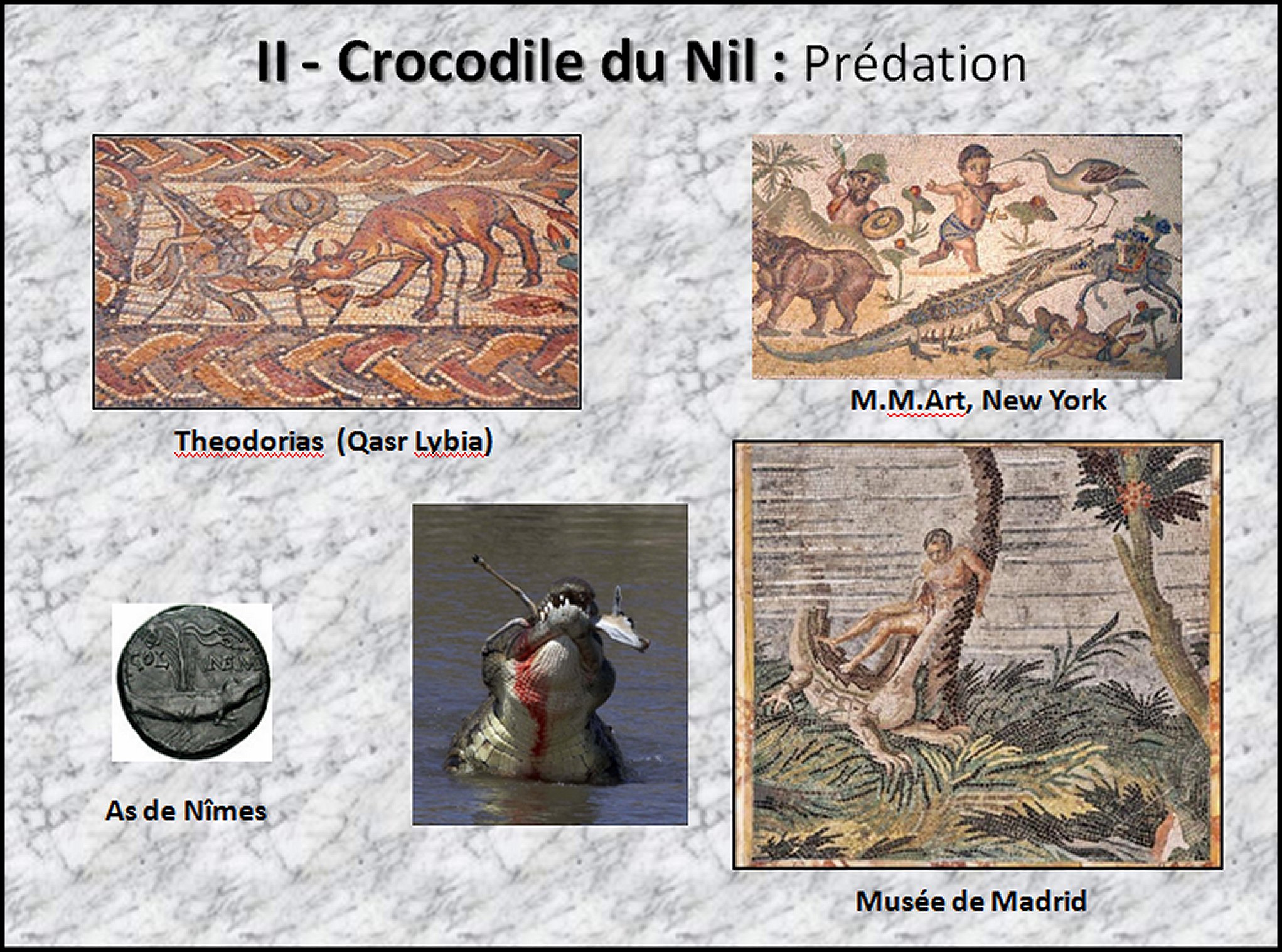 Mosa&iuml;que I - 38