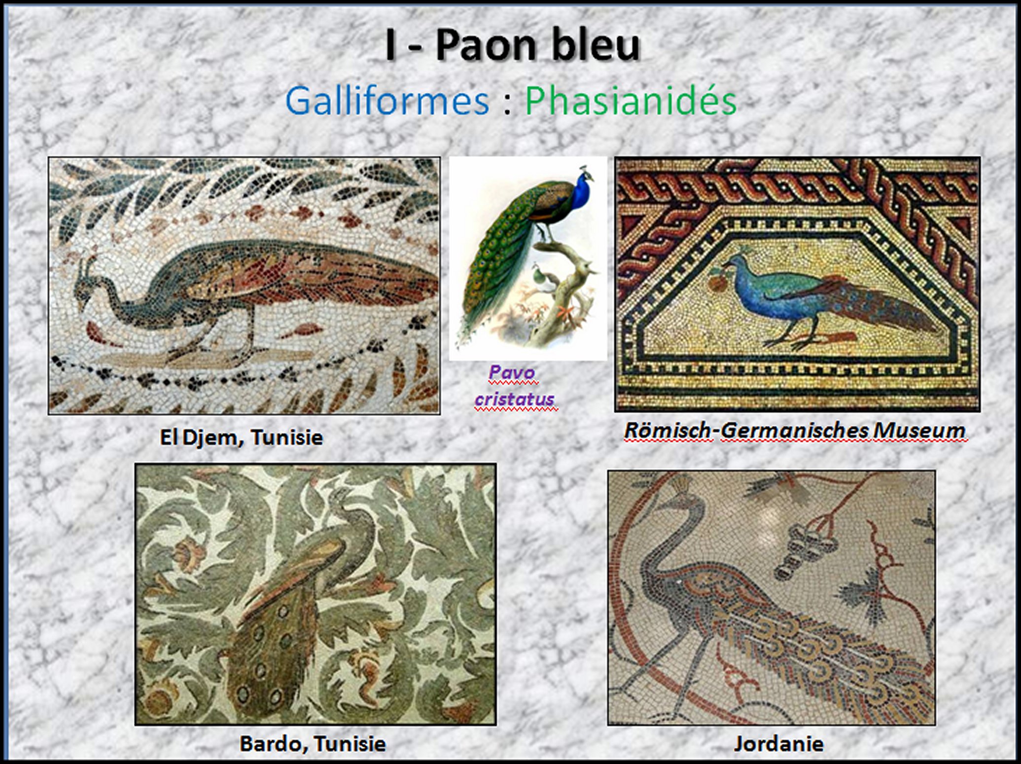 Mosa&iuml;que I - 43