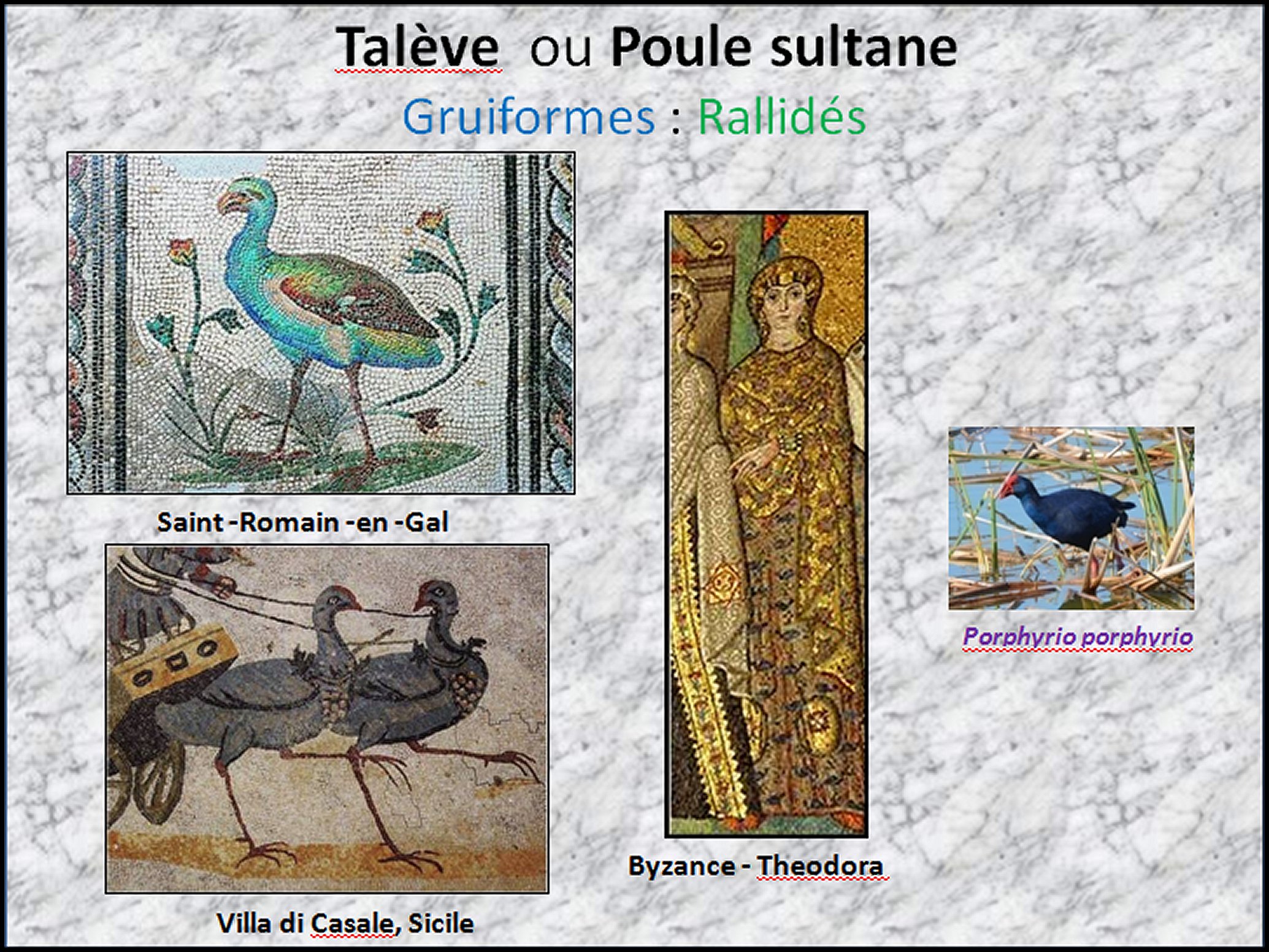 Mosa&iuml;que I - 52