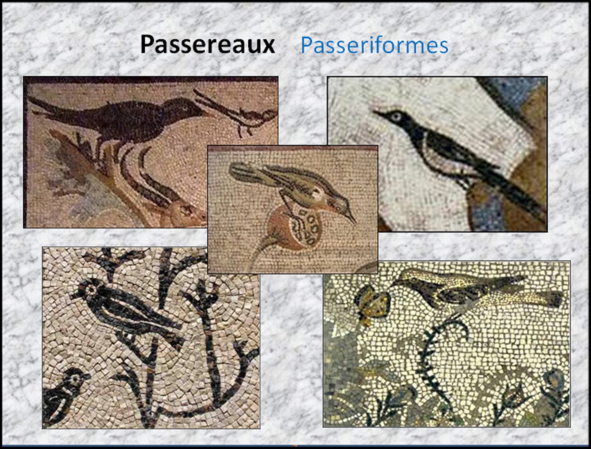 Mosa&iuml;que I - 58