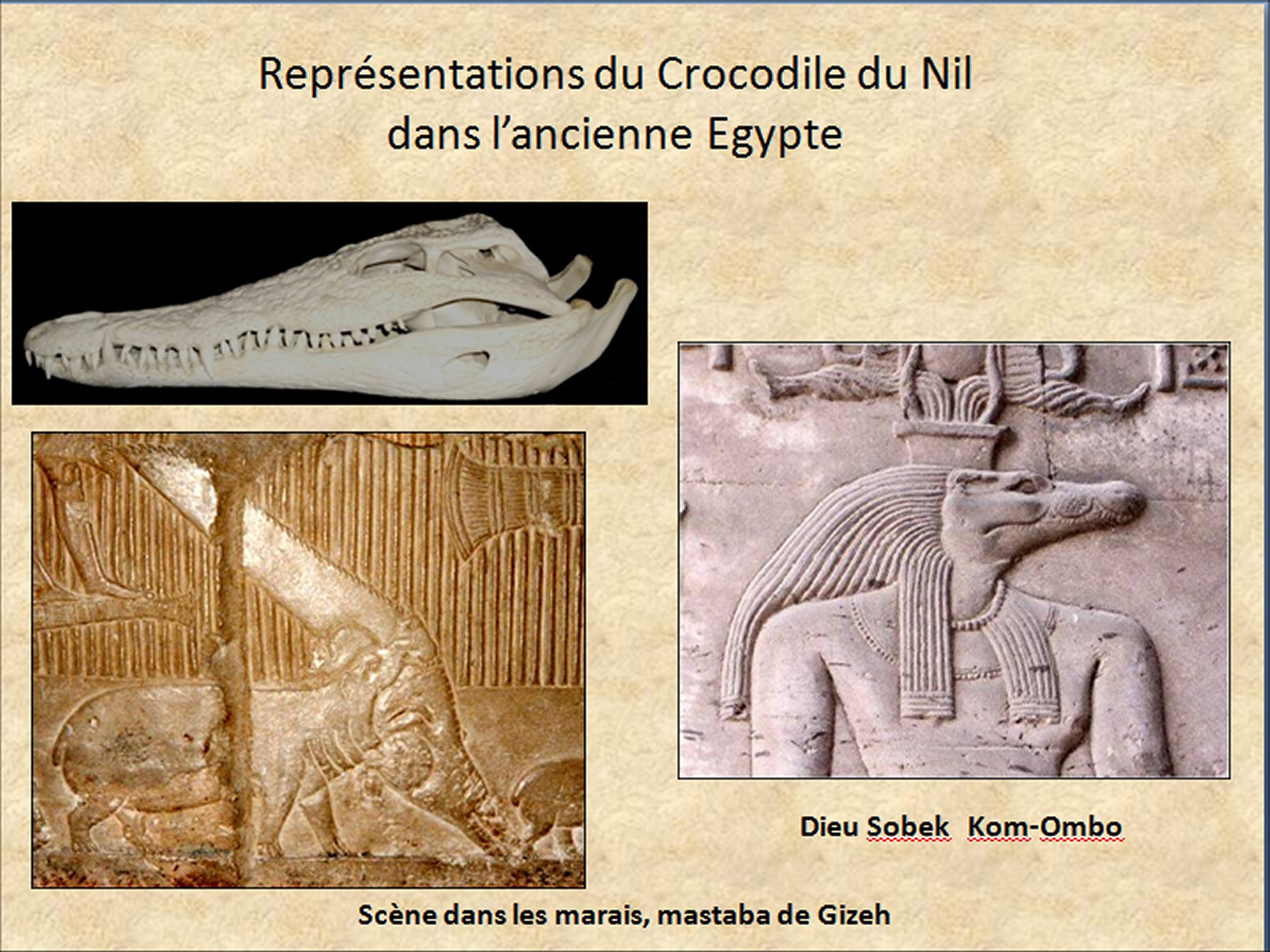 Mosa&iuml;que I - ad.3
