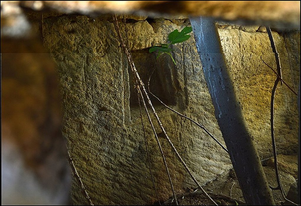 Première photo intérieur cabane