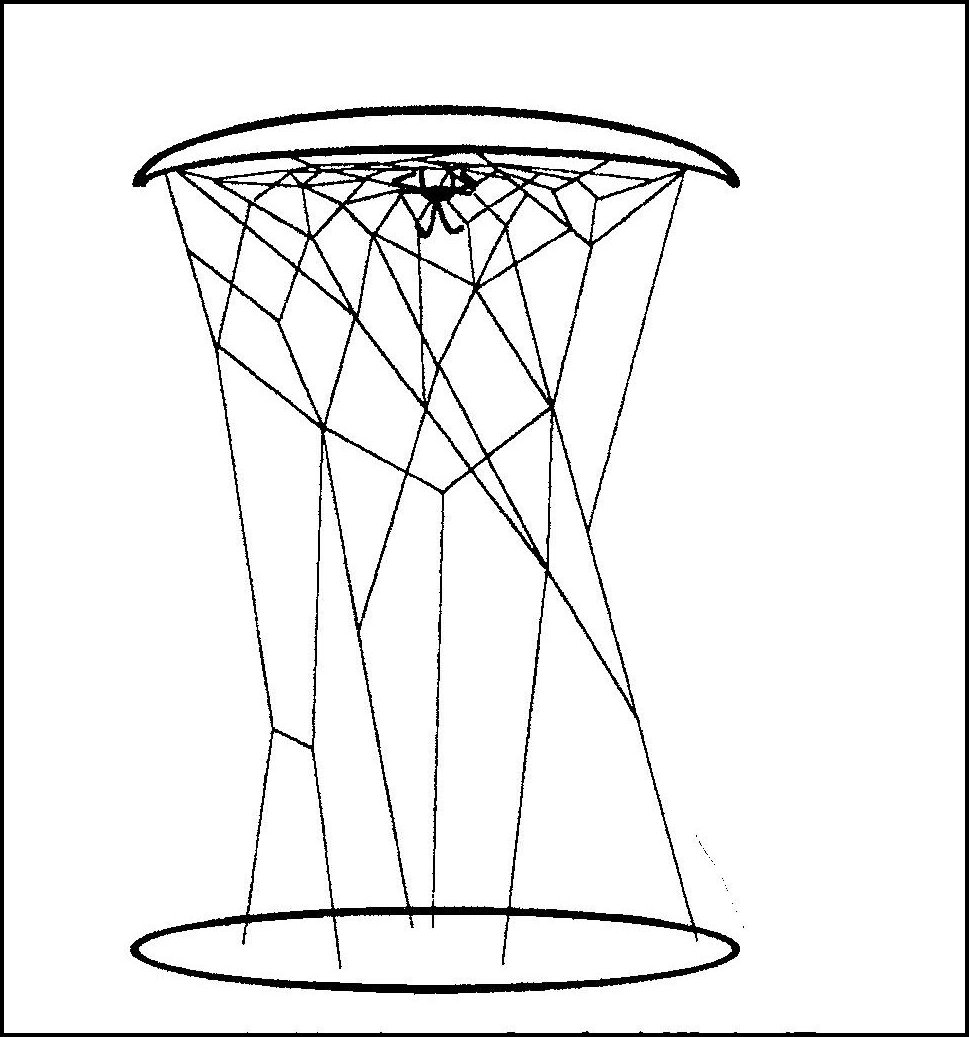 Toile Argyrodes flavipes