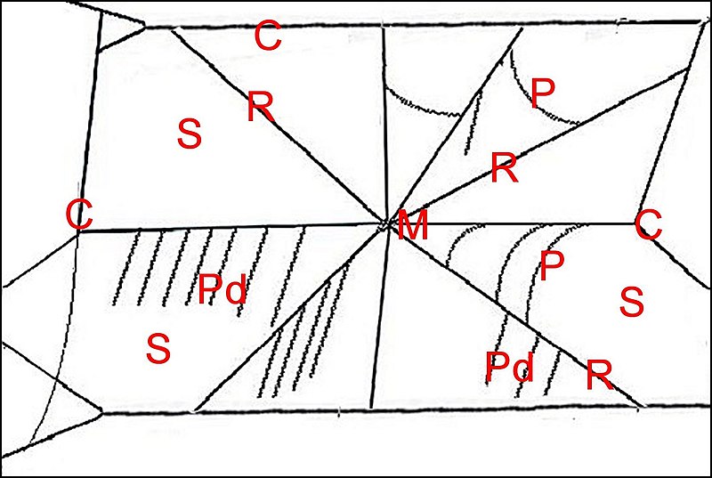 Toile Cyrtarachne ixoides 1