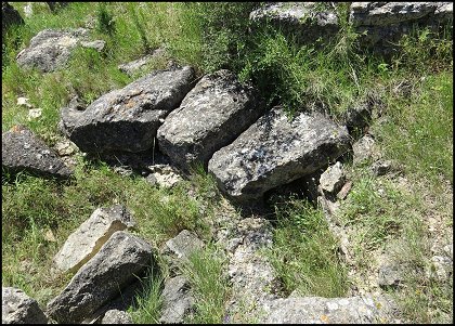 index garrigue-divers