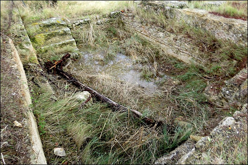 Piscine en eau